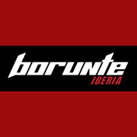 Borunte Iberia S.L. logo - Similar company to Borunte