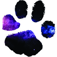 The Little Pet Company Ltd. logo - Similar company to Pets 2 Go