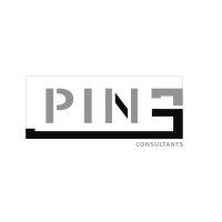 Pin3 Consultants