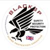 BLACK3P CONSULTING SECURITY GROUP LIMITED logo - Similar company to Ai Expo
