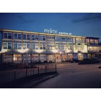 Mirror Centre Amsterdam logo - Similar company to Mirror Cdp