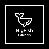 BigFish Hatchery logo - Similar company to Linearizer Technology, Inc.
