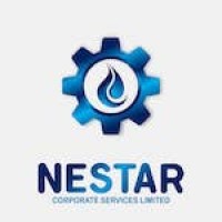 Nestar Corporate Services Limited logo - Similar company to Infinite Gold International Nigeria Limited