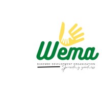 Wema BDO logo - Similar company to The Krisullis