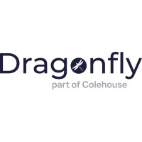 Dragonfly logo - Similar company to Red Ant