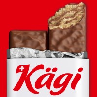 Kägi Söhne AG logo - Similar company to Wander Ag
