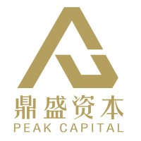 Peal Capital logo - Similar company to Peal Capital Group