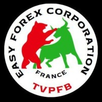Easy Forex Corporation logo - Similar company to Ezswap Protocol