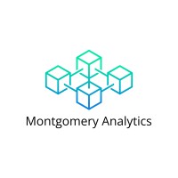 Montgomery Analytics Group