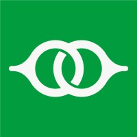 Linko logo - Similar company to Devola Group