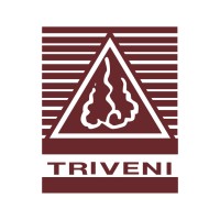 Triveni Kala Sangam logo - Similar company to Arth
