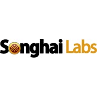 Songhai Labs logo - Similar company to Songhai