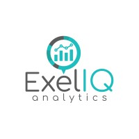 ExelIQ Analytics LLP logo - Similar company to Blocklogy Oü