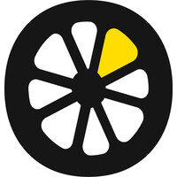Lemonade Education logo - Similar company to Engintel – The Languages Expert