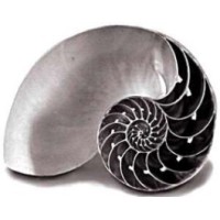 Inner Strength Coaching