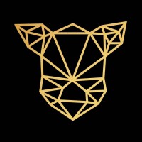 Saluministi logo - Similar company to Washtech