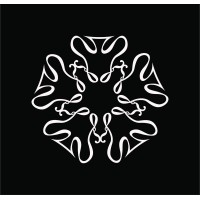 Double logo - Similar company to Vulnify