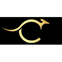 Canguru Capital Advisors logo - Similar company to Aditum Alternatives