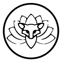 Creative Kitsune, Llc