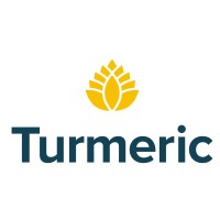 Turmeric Group Limited logo - Similar company to Kode
