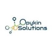 Opykin Solutions logo - Similar company to Pc Planet Limited