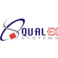QualEx Systems Pvt Ltd logo - Similar company to Zestorm Technologies Pvt. Ltd