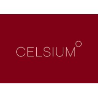 Celsium logo - Similar company to This Ecommerce Life
