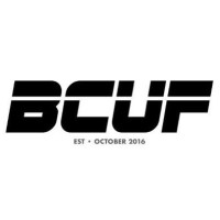 Bay City Ultimate Frisbee