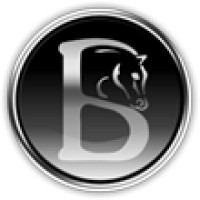 BLOOMFIELDS HORSEBOXES LIMITED logo - Similar company to Mighty Carver