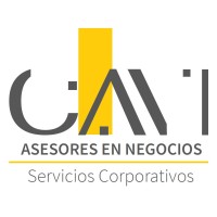 CAVI Asesores en Negocios, S.C. logo - Similar company to Hispanic Workforce
