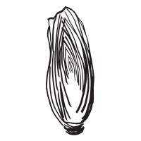 WITLOF logo - Similar company to Dorst!