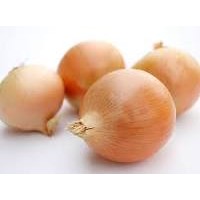 onion.io logo - Similar company to Onion Corporation