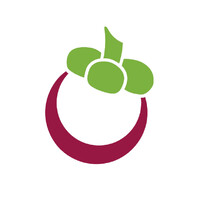 MangoStone logo - Similar company to Erdotex Group