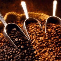 Coffee Plus logo - Similar company to Aeicoksa