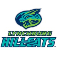 Lynchburg Hillcats logo - Similar company to Blast It Clean