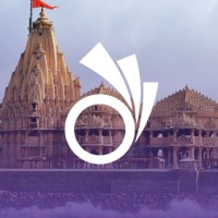 Surat Super logo - Similar company to Trilicious
