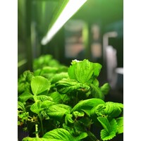 Nordic Hydro logo - Similar company to Beyond Coffee