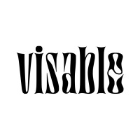 Visable Studio logo - Similar company to Ps Leasing & Finanz Gmbh