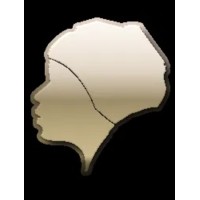 Widows for Peace through Democracy logo - Similar company to Maher Charitable Foundation