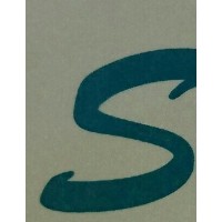 Shyam Texturisers Private Limited logo - Similar company to The Mittal Group