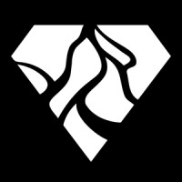 Diamant logo - Similar company to Ecko Tech