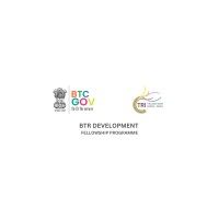 BTR Development Fellowship Programme logo - Similar company to Kabil