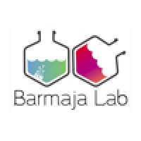 Barmaja Lab logo - Similar company to Byte Code Consulting