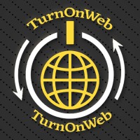 TurnOnWeb Solutions logo - Similar company to Art Palette Design Studio