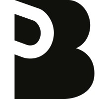 Playerbase logo - Similar company to Razegroup, Llc