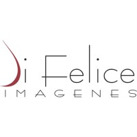 Di Felice Imágenes logo - Similar company to Camillus Centro Médico