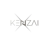 KenzaiX Media logo - Similar company to Qimeta