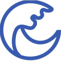 Enisey Consulting logo - Similar company to Molga Consulting