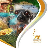 Madagascar National Parks logo - Similar company to Ecological Continuity Trust