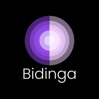 Bidinga AI logo - Similar company to Testingcatalog News